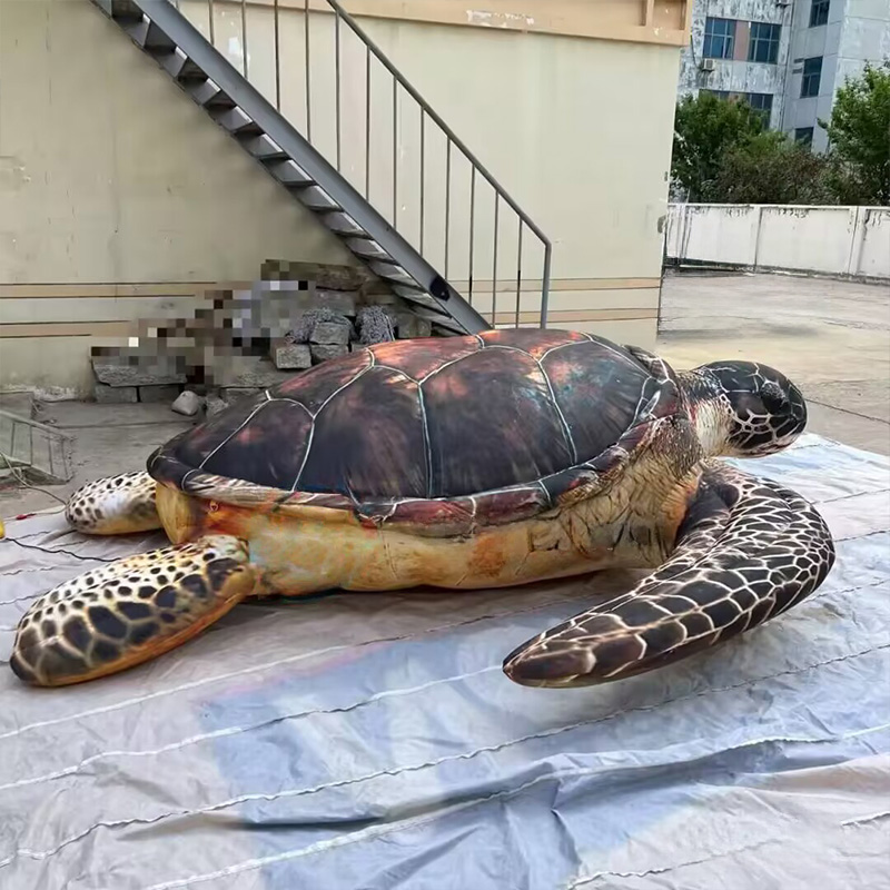 Inflatable sea turtles, Marine - Aquarium Marine Shop recension och pris