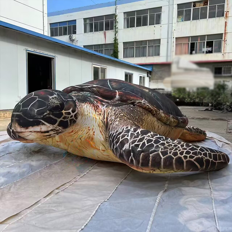 Inflatable sea turtles, Marine - Aquarium Marine Shop recension och pris