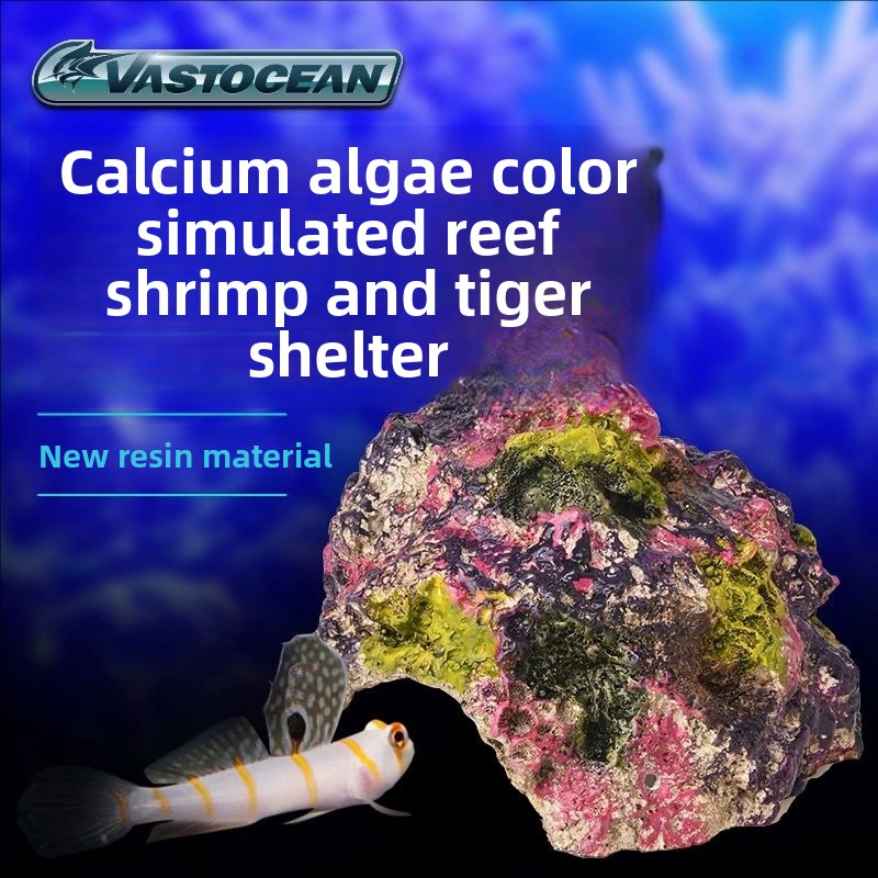 VASTOCEAN Saltwater Aquarium C - Marine Aquarium Hermit Crab recension och pris