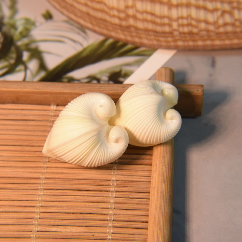 Natural Cardium cardissa Shell - Aquarium Marine recension och pris