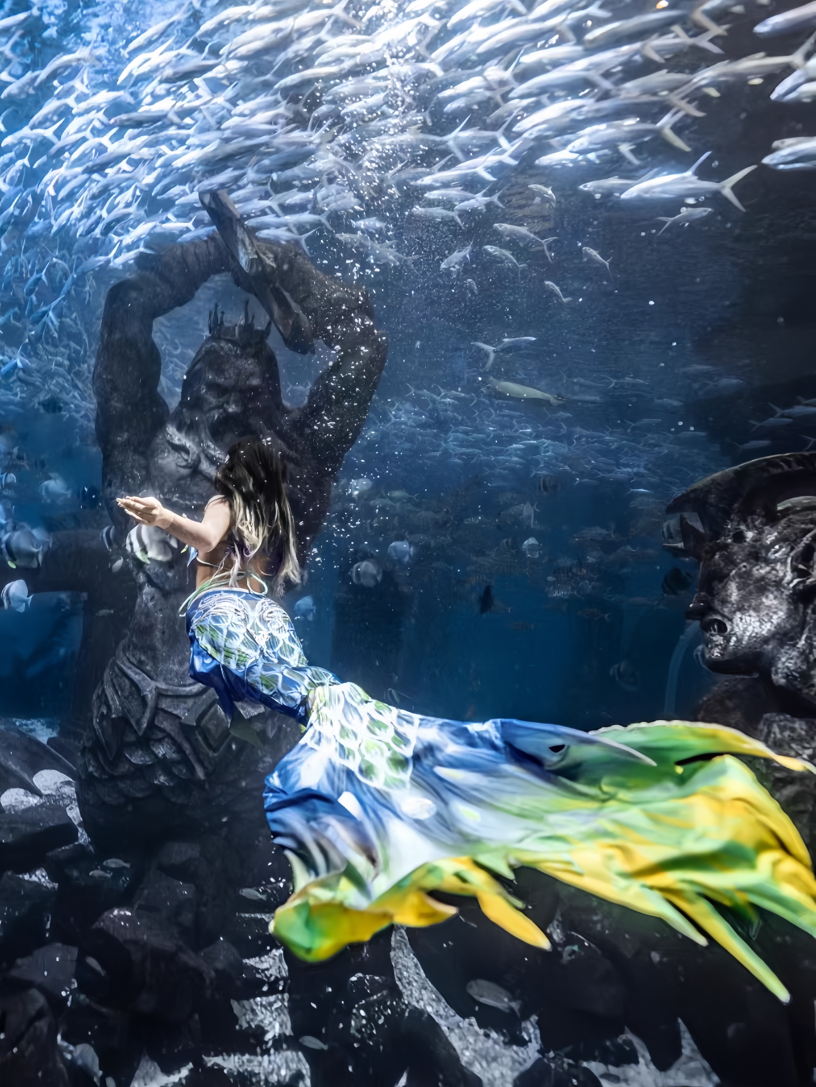 Mermaid Tail Adult Ladies Swim - Aquarium & Marine Museum recension och pris